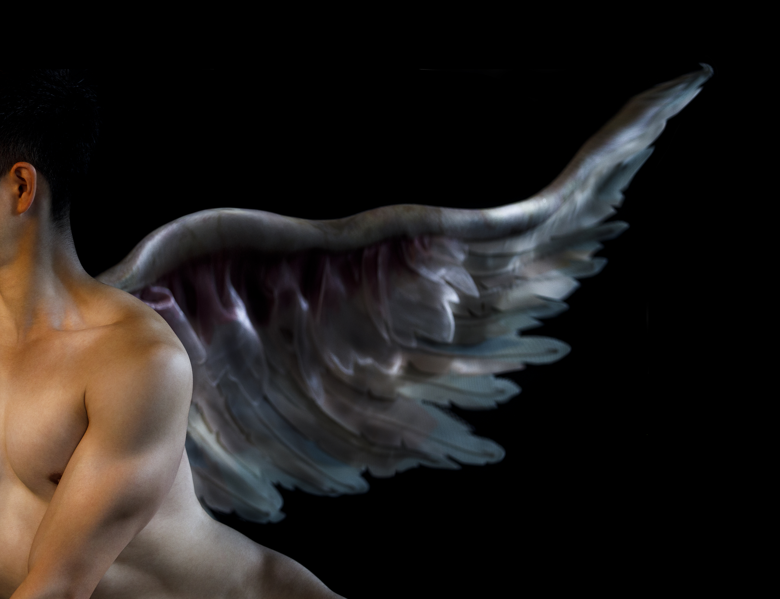 Most of the person is out of frame, but we see their shoulder and part of their naked abdomen. They have a large silver wing elegantly coming out their back